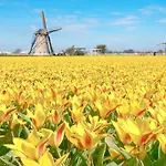 Hotel De Palatijn 4*