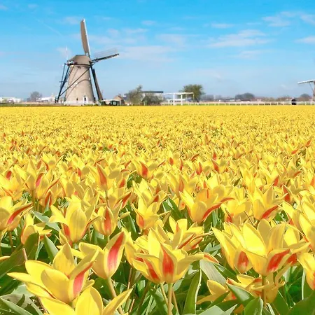 Hotel De Palatijn 4*