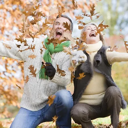 De Palatijn 阿尔克马尔