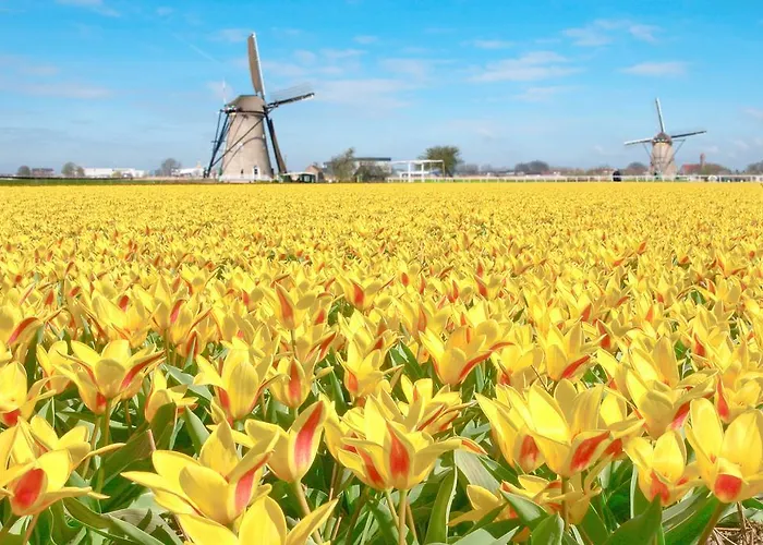 Отель De Palatijn 4*